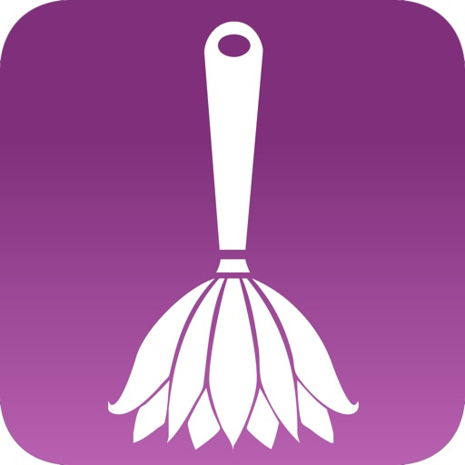 100 Tipps f&uuml;r das Putzen PRO