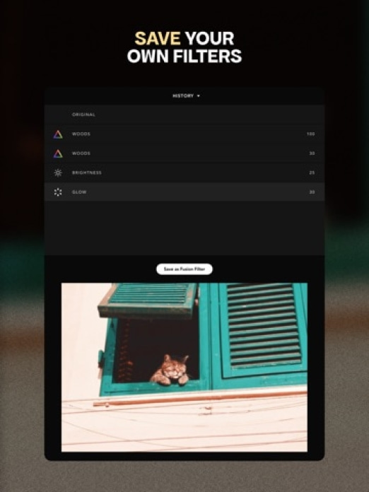 Afterlight Vintage Foto Editor Tablet-Screenshot4