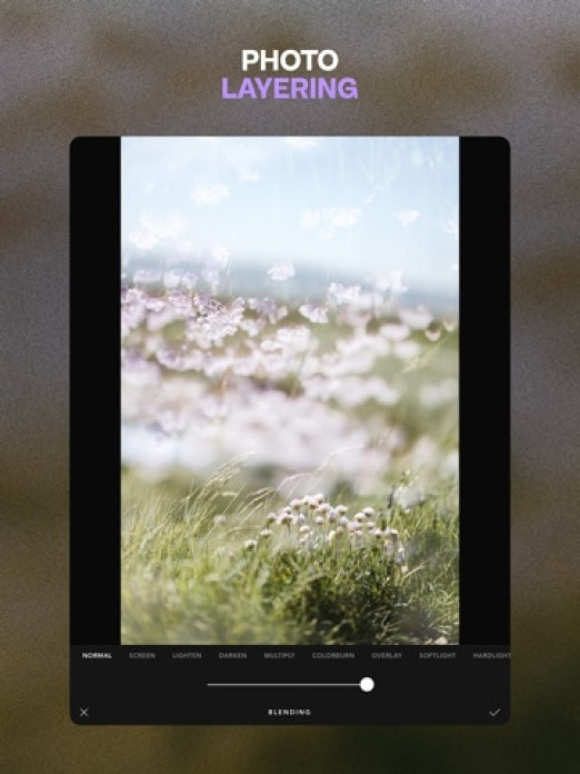 Afterlight Vintage Foto Editor Tablet-Screenshot6