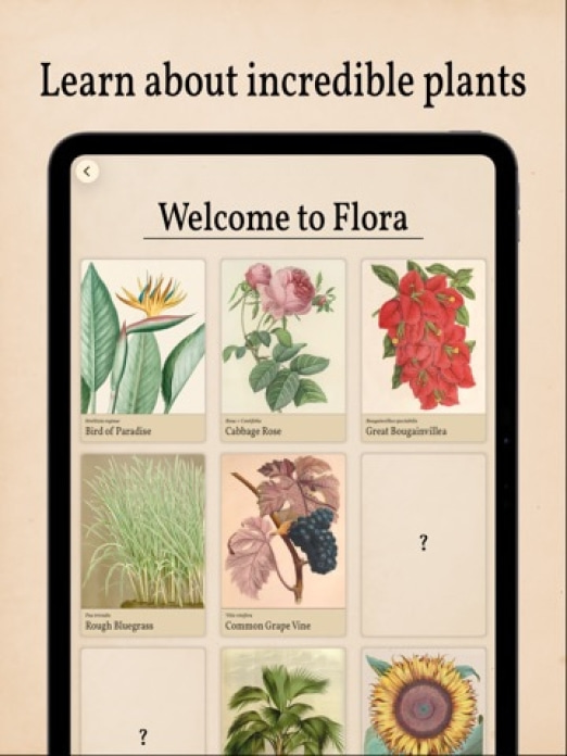 Art of Flora: Pflanzen Puzzle Tablet-Screenshot4