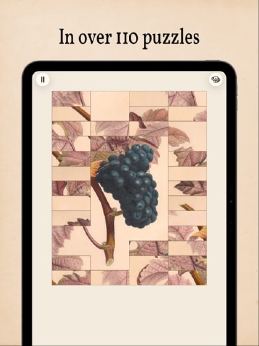 Art of Flora: Pflanzen Puzzle Tablet-Screenshot5