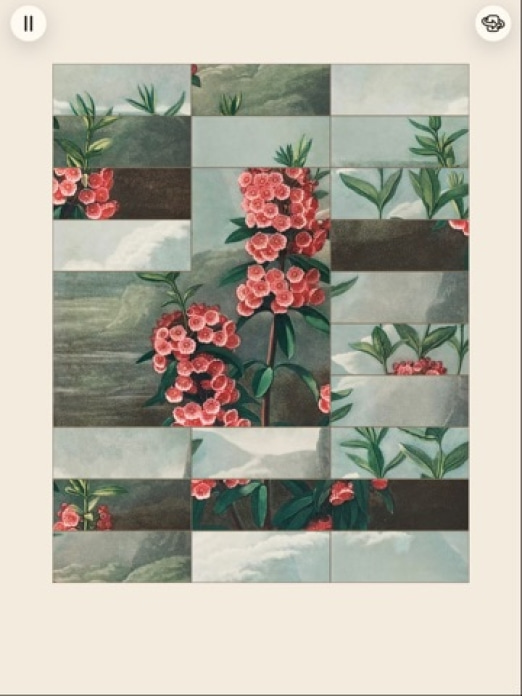 Art of Flora: Pflanzen Puzzle Tablet-Screenshot8