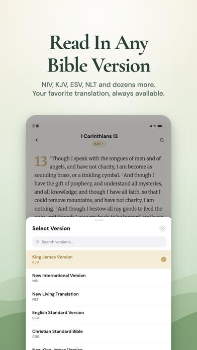 Bible Chat - Die Bibel Deutsch Smartphone-Screenshot9