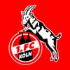 1. FC Köln Icon