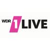 1LIVE - Radio, Musik, Podcasts Icon