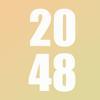2048_watch Icon