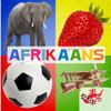 500+ Afrikaans flitskaarte Icon