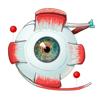 眼部解剖图 — 眼部结构精美全息科普插图 Icon