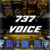 737 Voice - Aural Warnings Icon