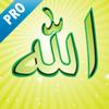 99 Names of Allah (Pro) Icon