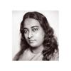 A Yogi Icon
