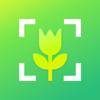 AI Plant Health Scanner Icon