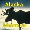 Alaska Mammals Icon