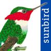 All Birds Colombia field guide Icon
