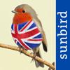 All Birds UK - the Photo Guide Icon