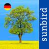 Alle Bäume Deutschland - 1000 Arten bestimmen Icon