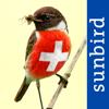 Alle Vögel Schweiz - Fotoguide Icon