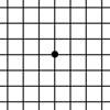 Amsler Grid App Icon