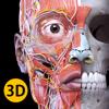 Anatomie - 3D Atlas Icon