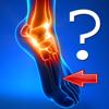 Anatomy Foot Quiz Icon