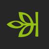 Ancestry: Familie und DNA Icon