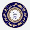 Ancient Chinese Astrology Icon