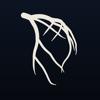 AngioView Icon