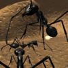 Ant Simulation 3D Full Icon
