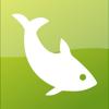 Aqua Box Icon