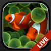 Aquarium Dynamic Wallpapers+ Icon