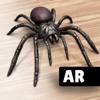AR Spiders & Co: Scare friends Icon