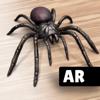 AR Spiders & Co: Scare friends Icon