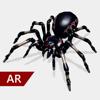 AR Spinnen Icon