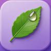 Aroma Guide Icon