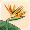 Art of Flora: Pflanzen Puzzle Icon