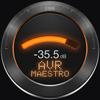 AVR Maestro f&uuml;r Denon Marantz Icon