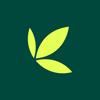 Bamboo: Invest. Trade. Earn. Icon