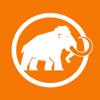Barryvox&reg; Mammut Icon