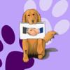 Basic Dog Training Icon