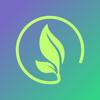 Basil by Sogos Icon