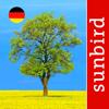 Baum Id Deutschland Icon