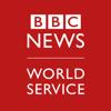 BBC World Service Icon