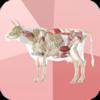 Beef Cuts 3D Icon