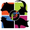 BenguFarm Mobile Icon