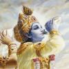Bhagavad-gita As It Is Icon