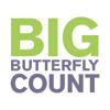 Big Butterfly Count Icon