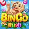 Bingo Rush - Club Bingo Games Icon