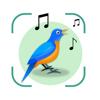 Bird Song Identifier UK Sound Icon