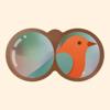Birder - Bird Identifier Game Icon