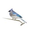 BirdNET Icon
